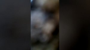 Что делать если ноутбук не четает флешку.