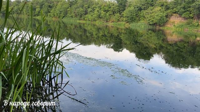 Среда. Что можно и нельзя делать в этот день. Народные приметы и поверья.