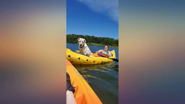 Coleman Tahiti Classic 2-Person Kayak review смотреть онлайн