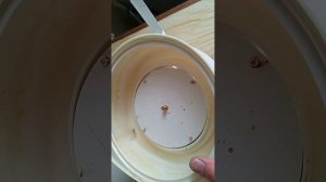 Соковыжималка Родничок