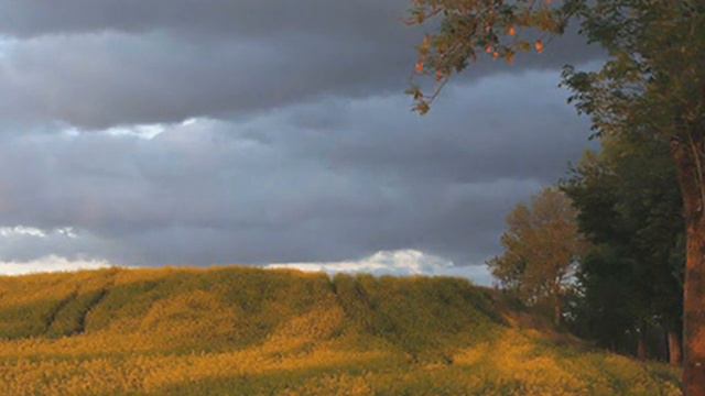 Frederic CHOPIN: etude no.11 op.25 - Maurizio POLLINI смотреть онлайн