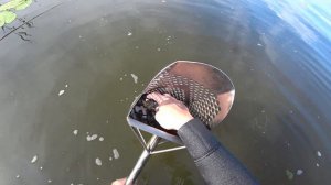 Золотые находки на реке