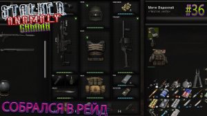 СОБРАЛСЯ В РЕЙД | STALKER ANOMALY GAMMA | Серия 36