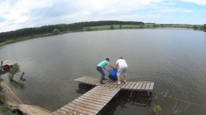 Запуск форели в частный пруд для ловли рыбы.