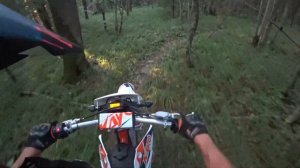 Прохват через ЛЕС. Маршрут "Просека". Kayo T4.