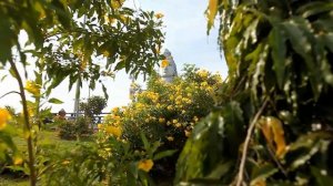 Шикарный тур в Индию,  Незабываемый тур в индию