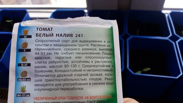 Зеленые питомцы. Рассада томатов и перцев. смотреть онлайн