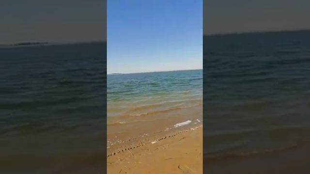 Рыбалка со сватом на водохранилище, ловим сазана на макушатник