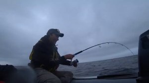 Треска идёт! Треске дорогу!