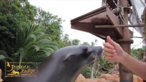 Parque Las Águilas - Jungle Park (Arona, Tenerife)