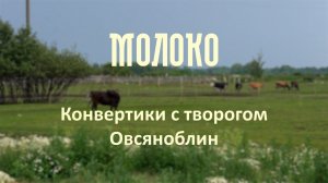 Конвертики с творогом. Овсяноблин | проект «Молоко»