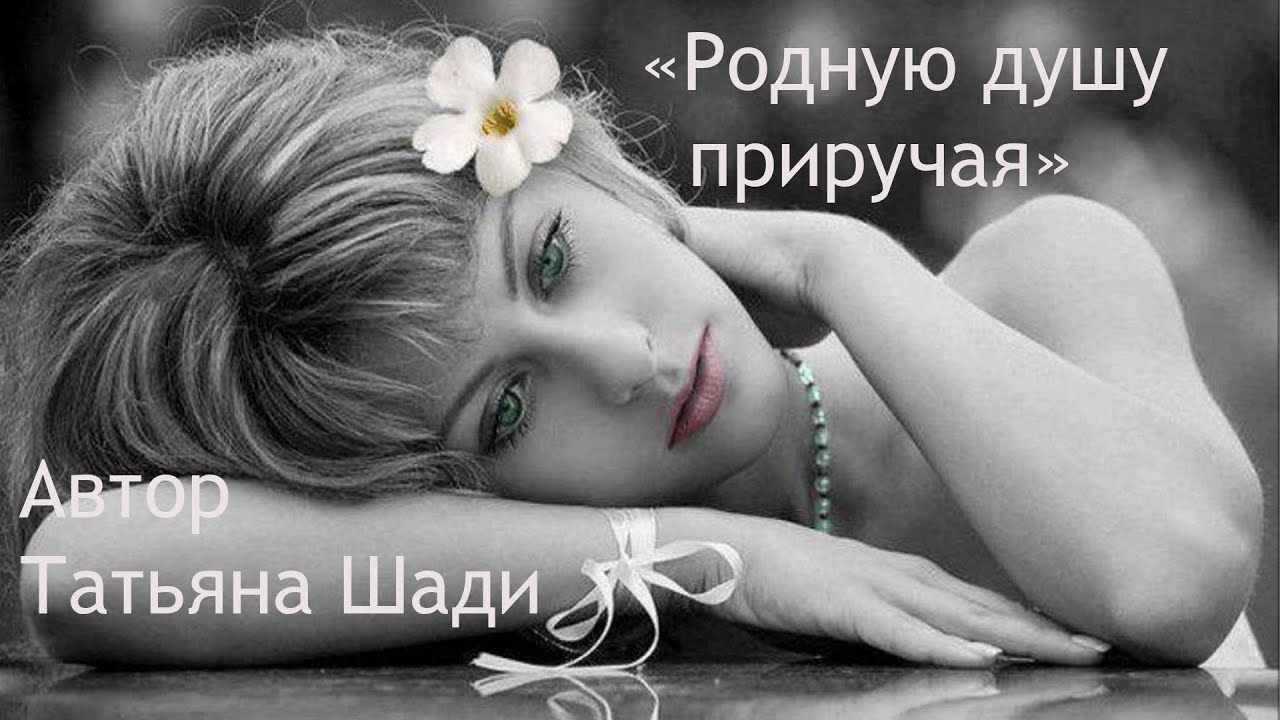 "Родную душу приручая" смотреть онлайн