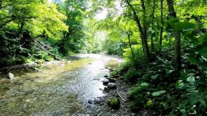 Велорыбалка с трэвлпалкой. Спиннинг для путеществий.