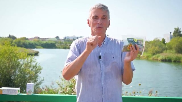 Розмарин - не просто приправа!