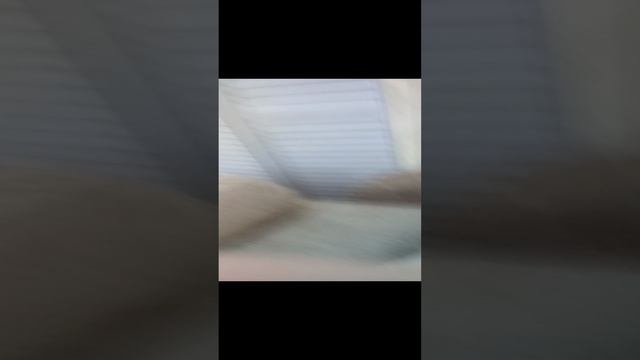 шалаш часть 2