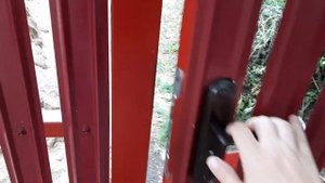 Забор из металлоштакетника.