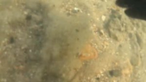 ПОДВОДНЫЙ КОП В ЧЕРНОМ МОРЕ