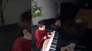 Pig step minecraft пианино Lena