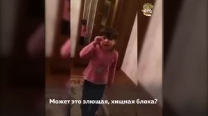 Маленькая девочка читает стихи о пенсии и ЖКХ