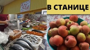 На велике до центра // Цены на рыбу в станице //Про кубаноидов