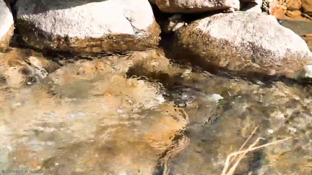 TOP 100 CLASSICAL PIANO MUSIC: Most Old Beautiful Love Songs Ever - Legendary Instrumental Music смотреть онлайн