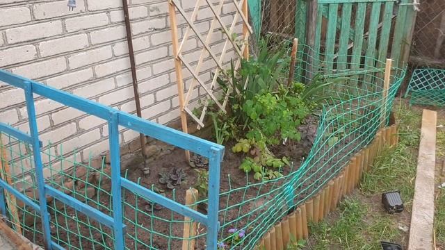 Розы, мини-огород и ещё раз розы / КУПИЛА ДОМ В ДЕРЕВНЕ смотреть онлайн