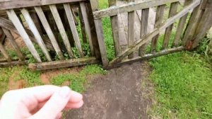 Русский Север. Жизнь в деревне. Пинежье.