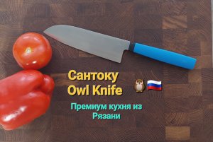 Сантоку SA160 Owl Knife - лучший нож для кухни.