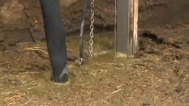 презентация сепаратора производства Сri-Man .avi