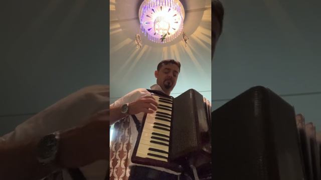 Hohner verdi ll ca la munte смотреть онлайн