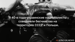 Украинские националисты
