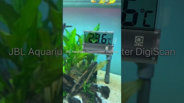 ?️✔️ JBL Aquarium Thermometer DigiScan - Digital adhering thermometer #shorts #meinjbl #myjbl