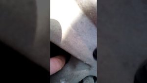 Форд фокус стук подвески