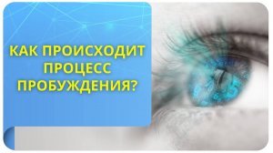 Как происходит процесс пробуждения?