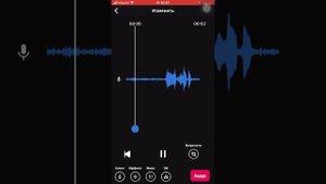 Программа где делает автотюн голоса.