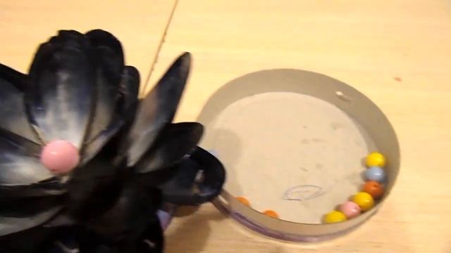 #цветок из ракушек мидий. смотреть онлайн