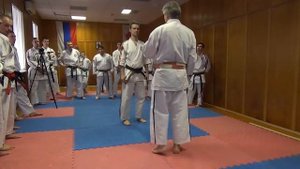 Всероссийская школа Косики Дзюцу и Косики каратэ. Видео. 2015.