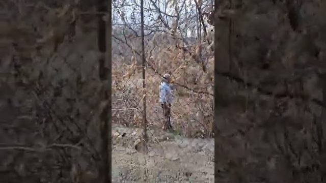 Сюник, Сисиан. Сказочное село Дарбас.