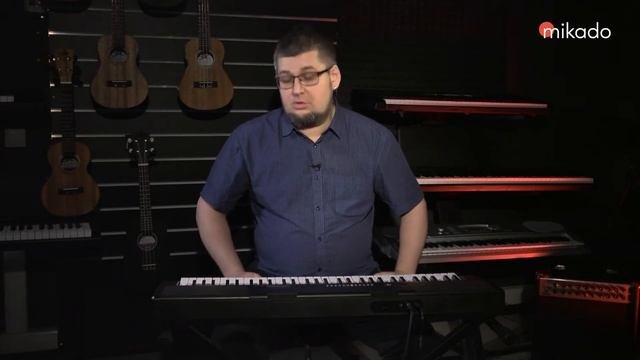 Mikado MK300