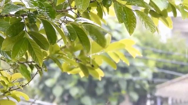 Музыка для быстрого засыпания и глубокого сна.