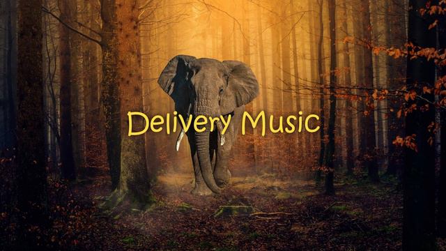 Ollie Joseph, Apollo - Elephants