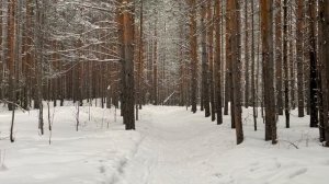 Тропа здоровья (Крутой лог)
