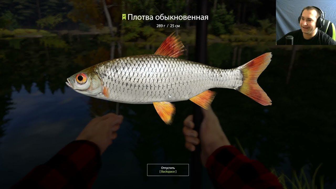 Russian Fishing 4 - Еще раз на рыбалку? смотреть онлайн