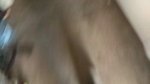 Двухконтактное реле напряжения генератора (591.3702-01)с диодами,на Москвич 2141