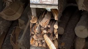 Как топить печь для пиццы