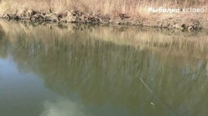РЫБАЛКА НА МИРНУЮ РЫБУ р.КУДЬМА