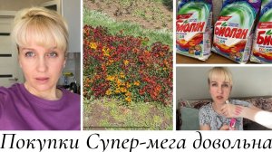 Покупки. Уборка. Супер-мега довольна.