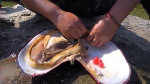 The giant red clam in the deep pool, with dazzling red pearls and gemstones, is extremely beautiful