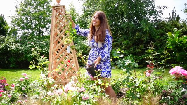 FIOLETOWE Rośliny do ogrodu na całe lato - Clematisy, Werbena Patagońska, Szałwia, Łubin, Lawenda смотреть онлайн