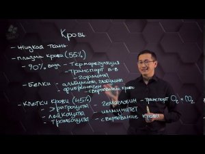 Состав и функции крови. 8 класс.